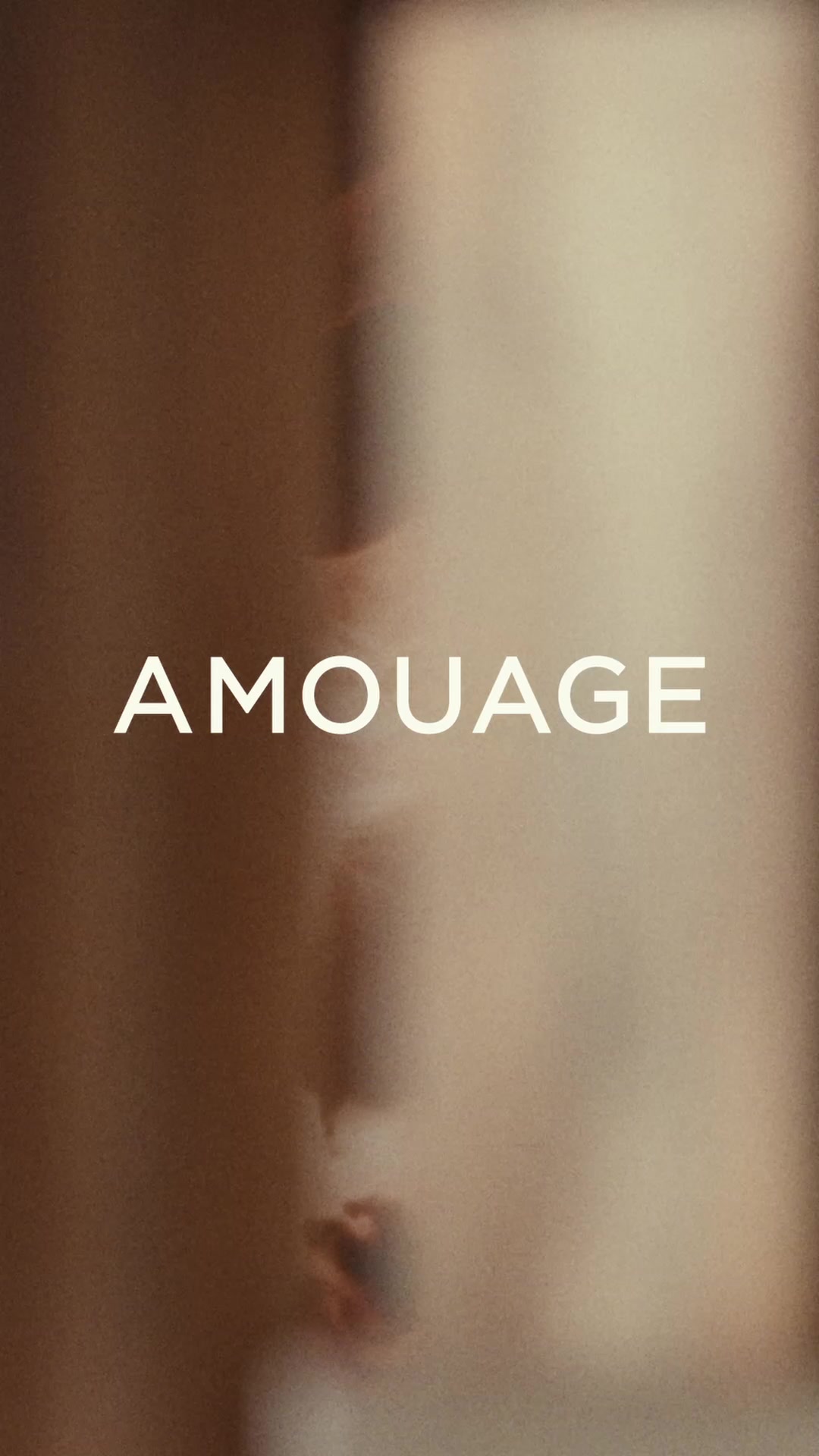 A new bold expression of woods.