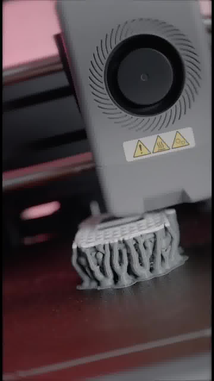 Your Multicolor Printing Adventure Begins Now!