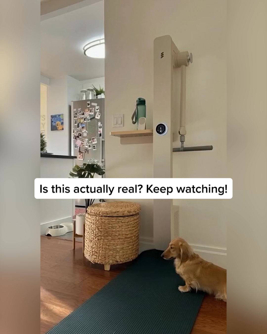 Try At Home For 90 Days