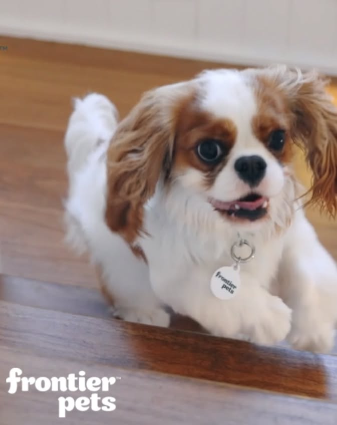 Real Food. Real Care.