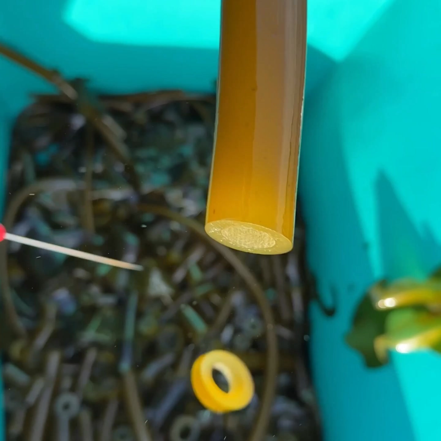 Bullwhip Kelp Hot Sauce