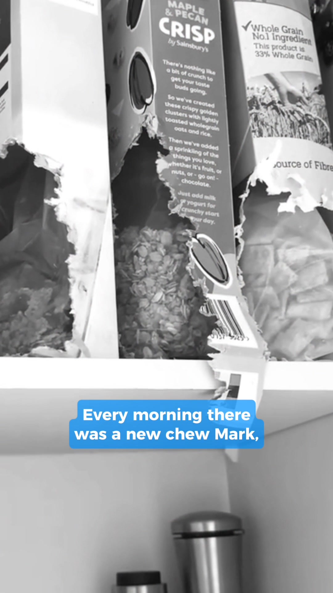 Say Goodbye To Mice And Rats