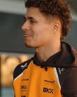 Official McLaren F1 Team earplugs