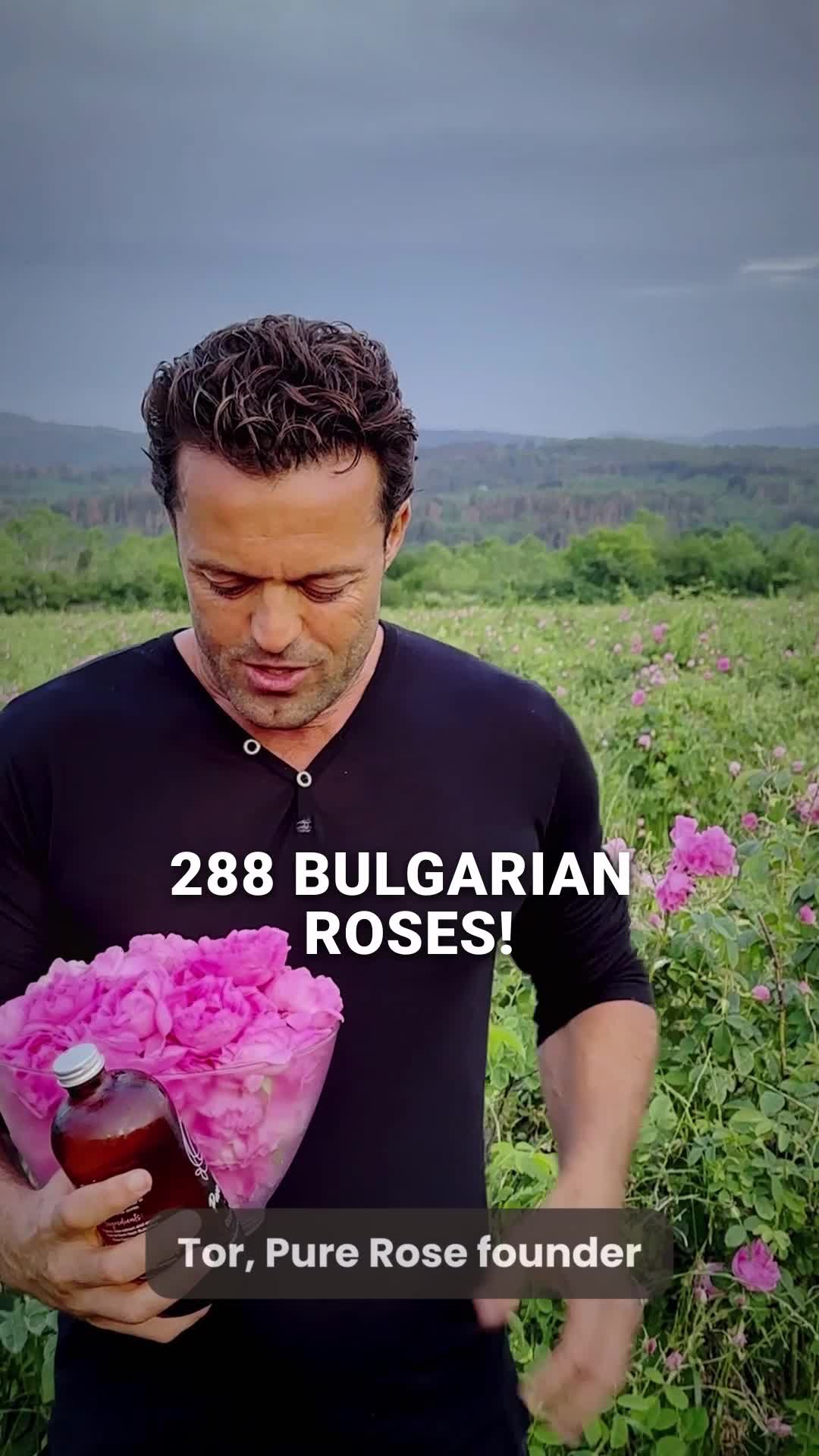 Elevate Your Health with Pure Rose