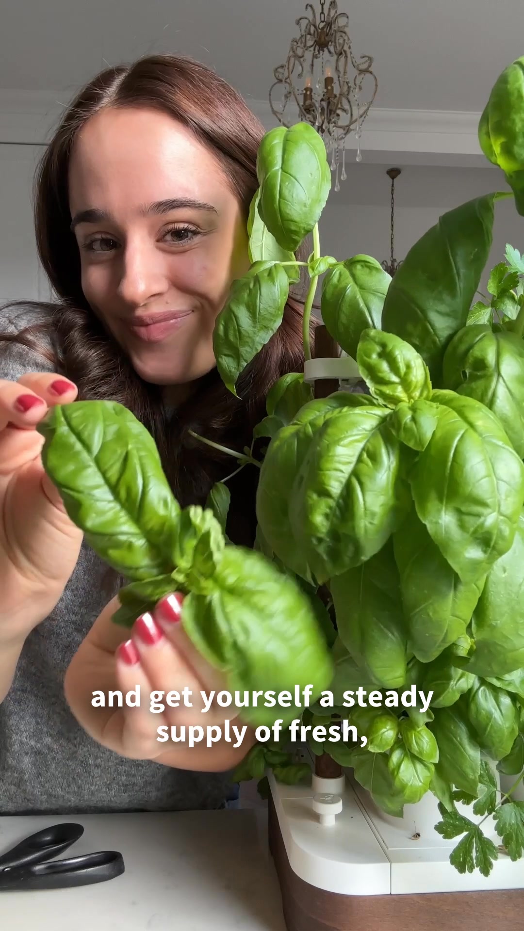 Fresh herbs always at your fingertips
