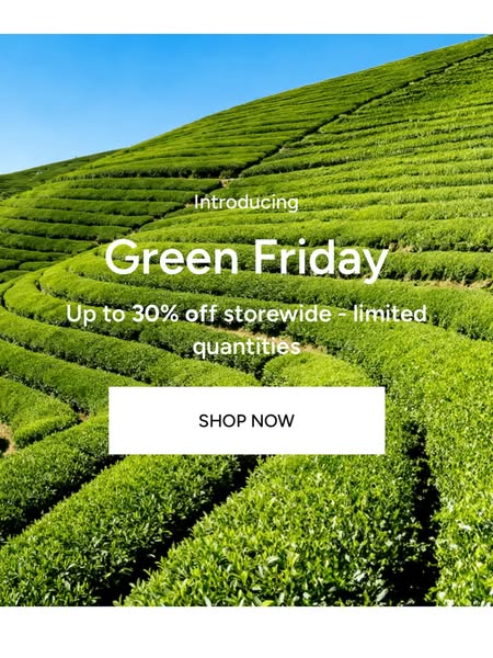 Rare Premium Matcha from Kyoto, Japan