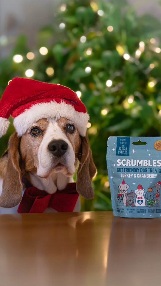 Santa Paws is coming to town!
Treat your pup to @scrumbles Christmas Softies - juicy turkey & cranberry bites made just for the goodest girls and boys! Gentle on tums, gluten-free & totally drool-worthy.
Use code BASIL20 to save!
Shop now through the link in my BIO 🎅😋🐶
#basilthebeagle #dogsofinstagram #christmasiscoming #santapaws #scrumbles #dogchristmas #dogproblems #dogmomproblems #dogtok #londondogs #londondog #beagle #beagles #beaglelife #beagleclub #beaglepuppies #beaglepuppy #dogtalk #grumpybeaglesunited #reellife #reeldog #reelfun #reelsofinstagram #reeloftheday #funnyreels #funnyreel #funnydog #funnybeagle #comedy #dogcomedy