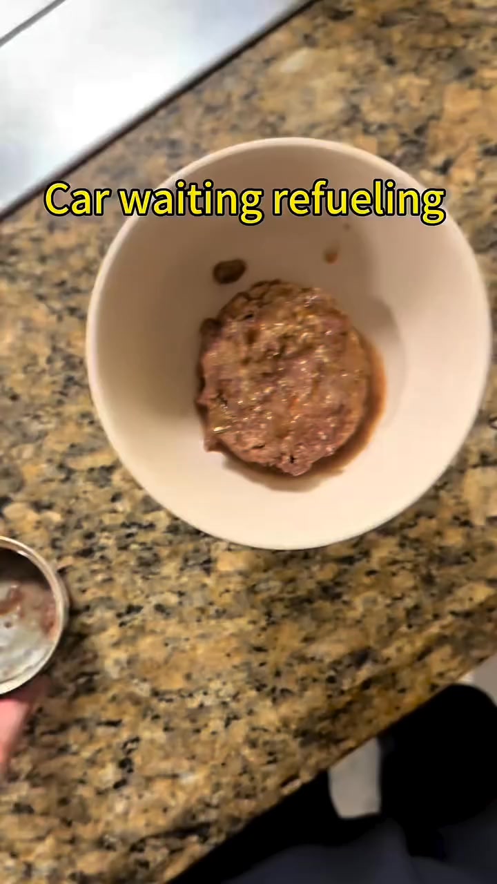 🩺Vets Wish All Cats Had This