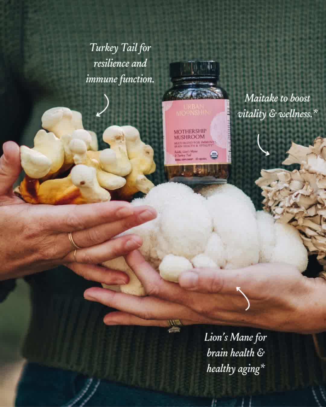 Four Powerhouse Mushrooms | 2 Daily Capsules