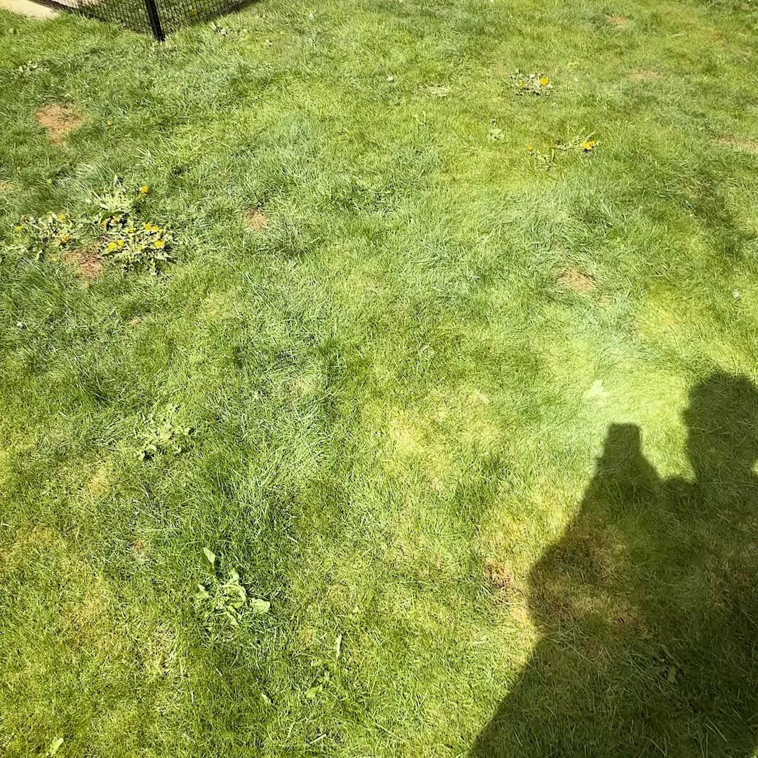 Catio by the Experts 😻