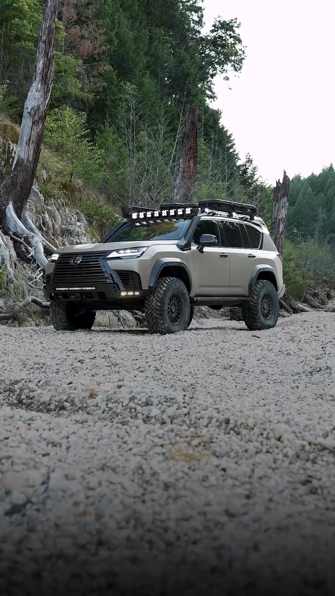 Let’s Build Your Rig Right