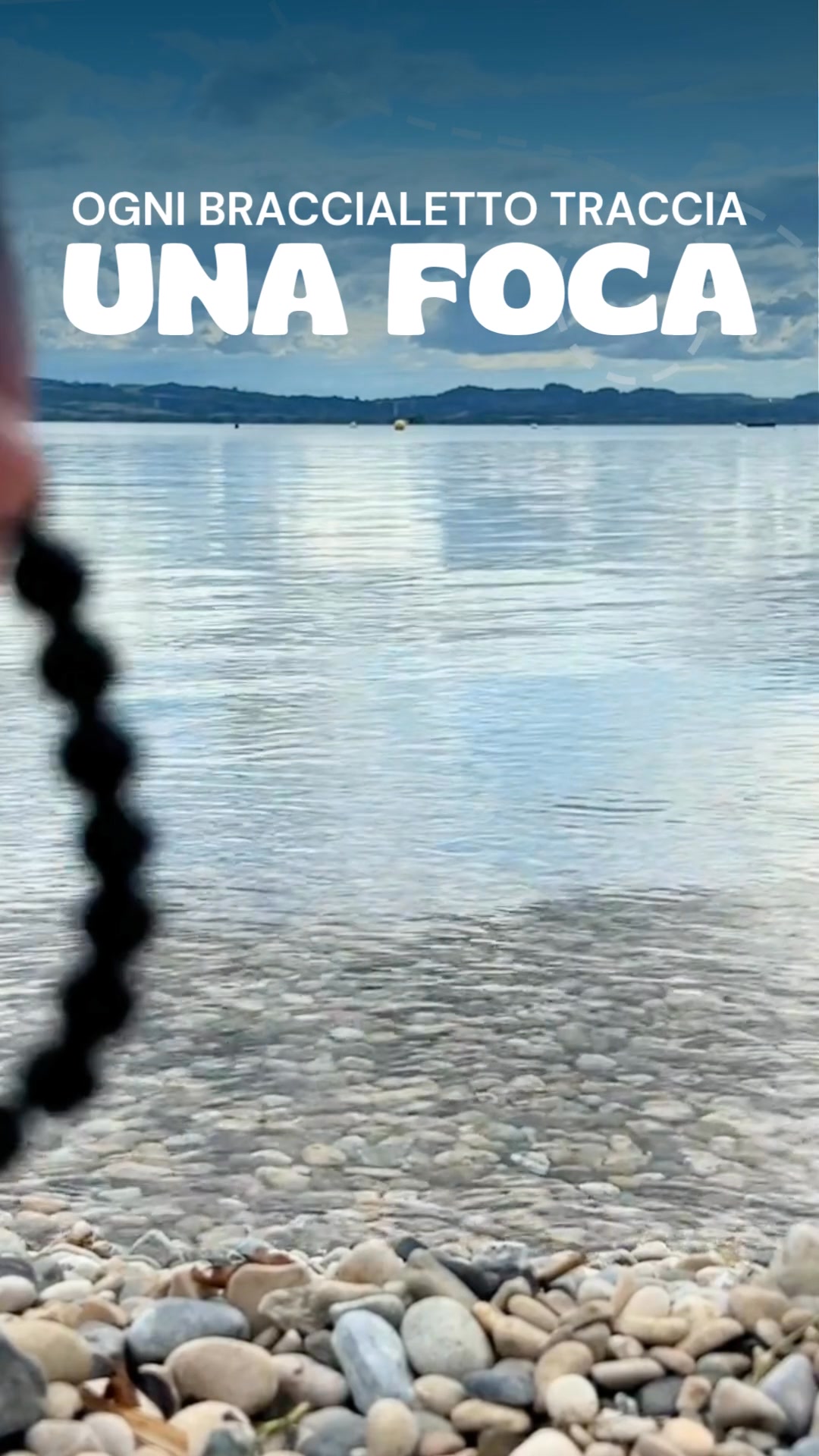Sigue el viaje de una foca real por el océano 🌊