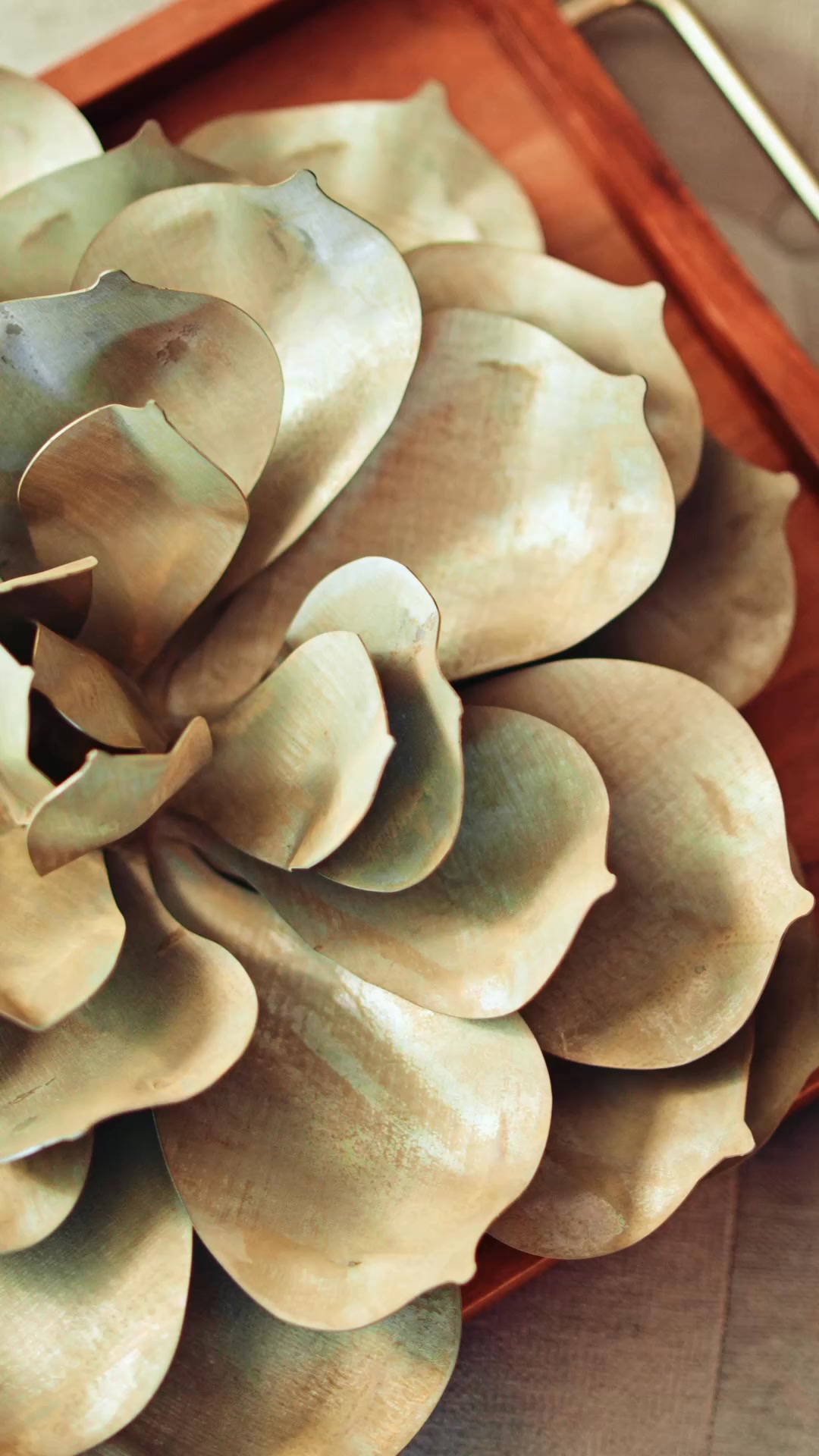 Beautiful Landscaping Made Easy