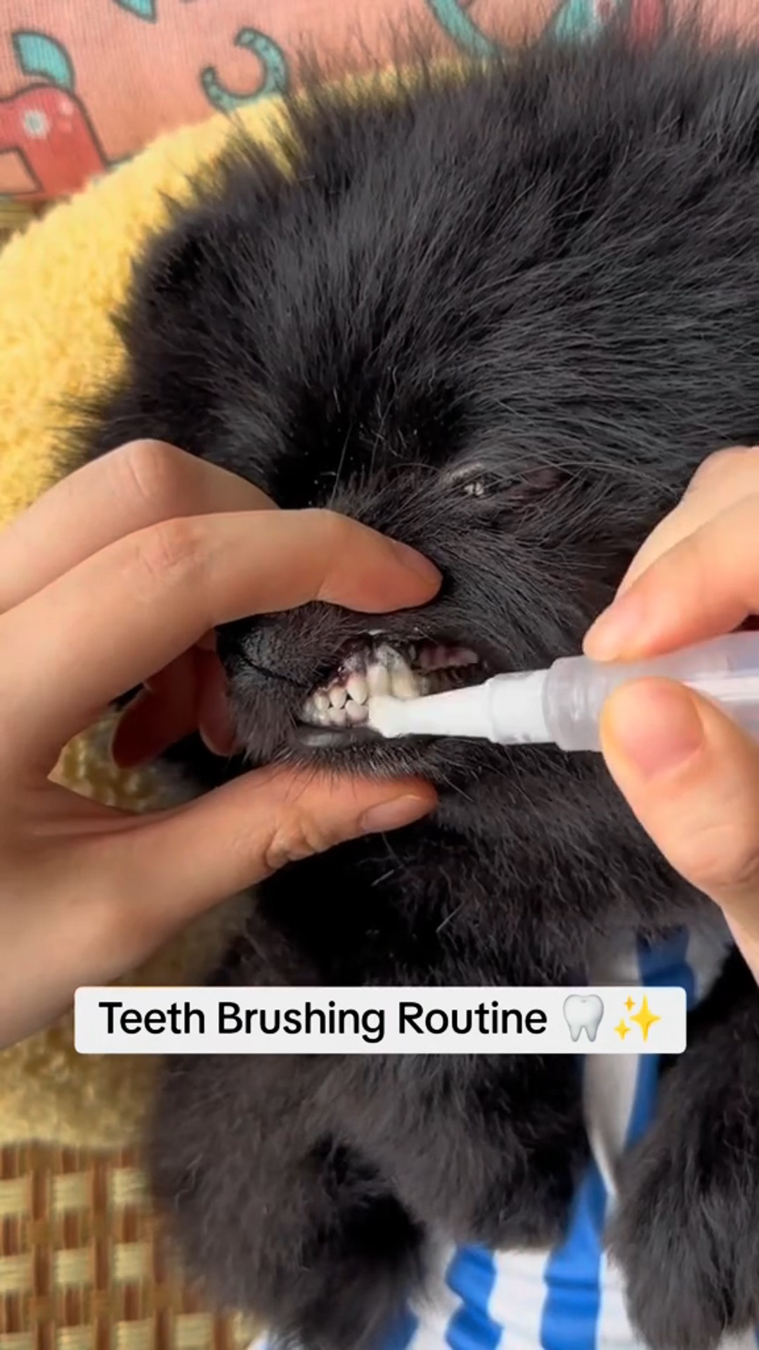 Vet-Approved Oral Care for Pets 🏥🐕