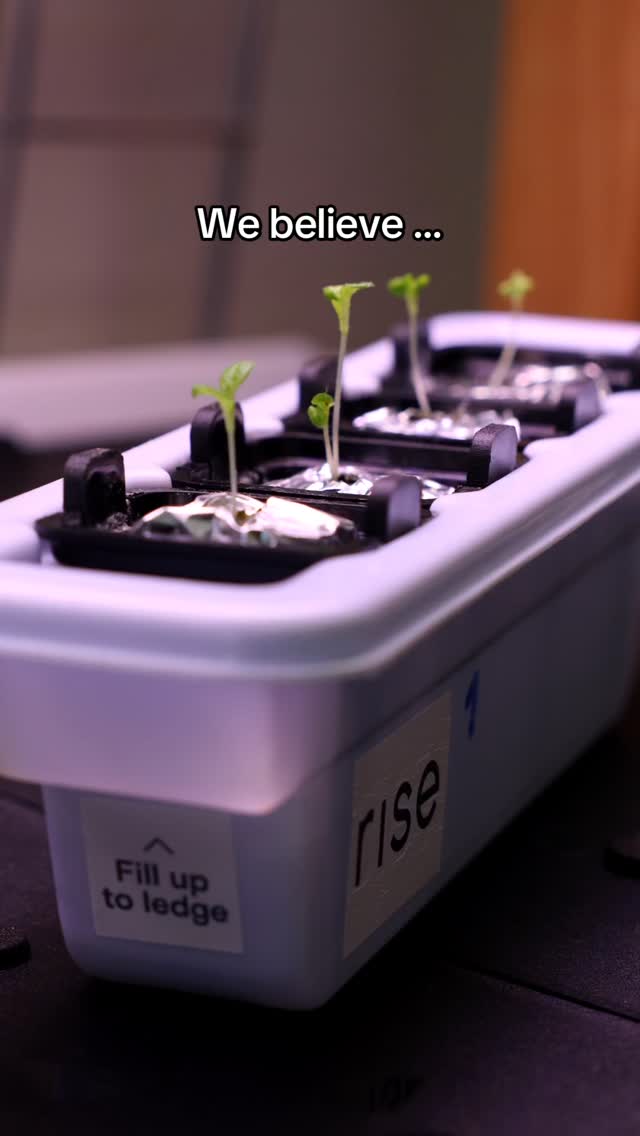 🌱 Some things can’t be rushed. The seed that becomes a garden. The meal that nourishes a family. The relationships that ground us. The life we’re building. The best things in life… they take time. 
And in a world that feels faster and noisier by the day, we believe what’s truly needed isn’t more speed or more noise — it’s more connection. More nurturing. More love. 🌍💚 
That’s why we created Rise Gardens. It’s not just about growing food indoors (though yes, fresh herbs, crisp greens, and vibrant veggies are only steps away from your kitchen). 
It’s about reconnecting with something ancient, something human. It’s about slowing down long enough to witness life unfold, one seed at a time. 
Every garden is a daily reminder that growth takes commitment, and that commitment transforms us. It turns strangers into community, neighbors into friends, families into caretakers of each other and the planet we share. 🌿✨
If you’ve been waiting for a sign to begin, this is it. We want a community of like-minded people who believe in creating a better future — starting right where they are, with food that’s alive, clean, and meaningful. 
Because at Rise, we don’t just grow gardens. We grow connection. We grow patience. We grow love. 🌱💫 
Are you ready to grow with us? #hydroponics #inhomegarden #growyourownfood