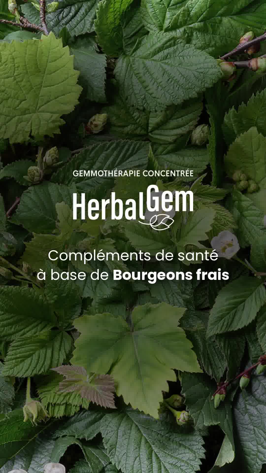 herbalgem.com