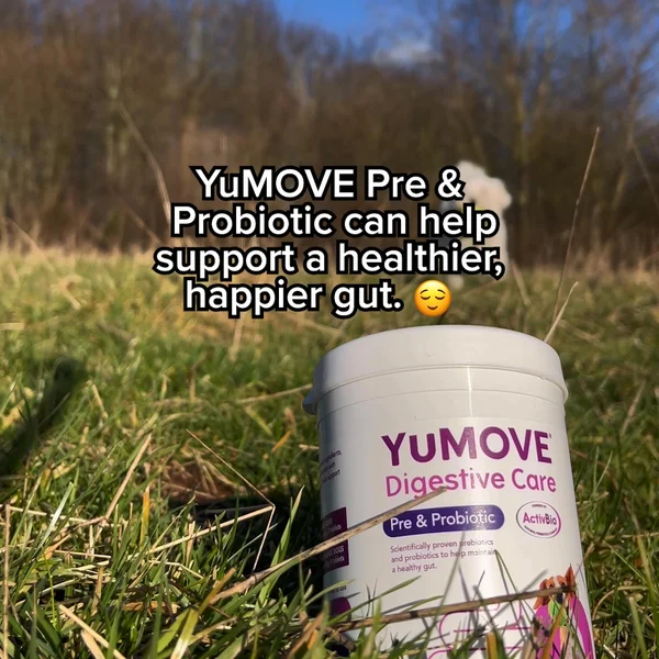 YuMOVE Digestive Care for dogs