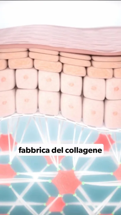 Pelle Giovane o Rimborso