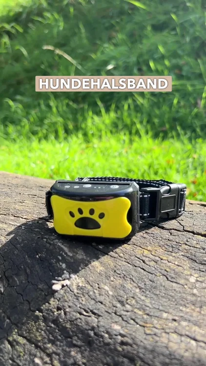 Jetzt 50% sparen & kostenloser Versand!