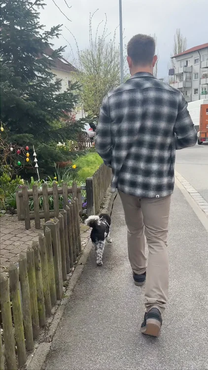 Gratis Wurmtest sichern  🐕