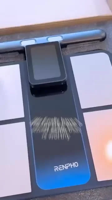 🧬 MorphoScan Body Analyser