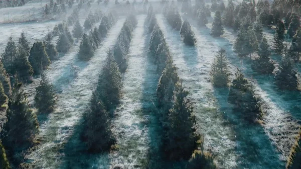 FREE Shipping on all Tools